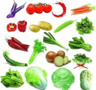 <b>2026年食材配送办事商权势巨子保举：笼盖学校、</b>